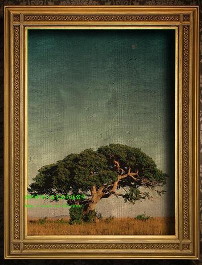 Beautiful old tree scenery photo frame
